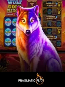 Top Slots GOGO RUMMY Games