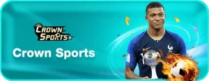 Top Providers